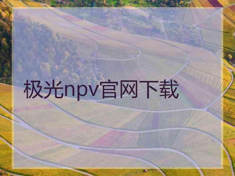 极光npv官网下载