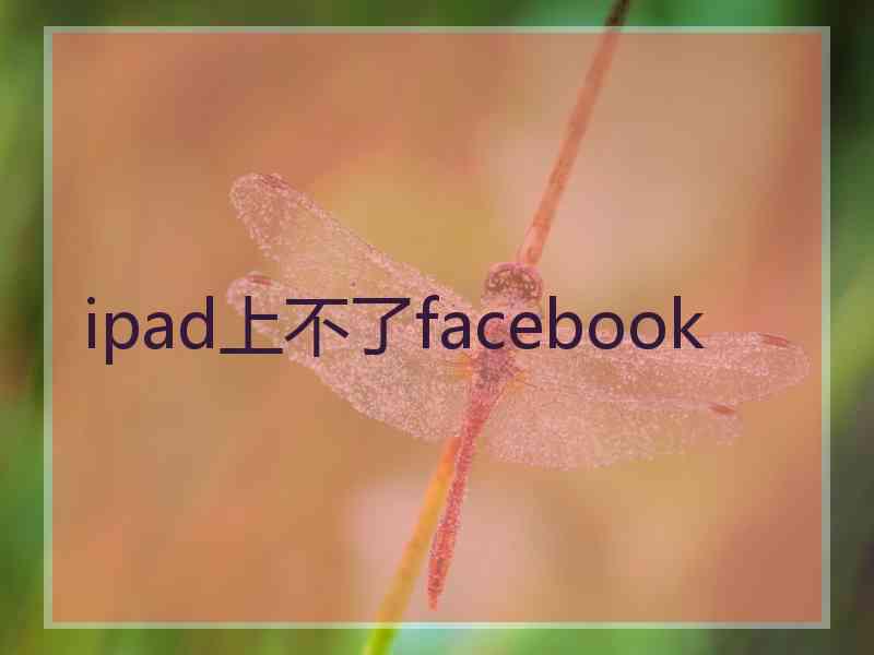 ipad上不了facebook