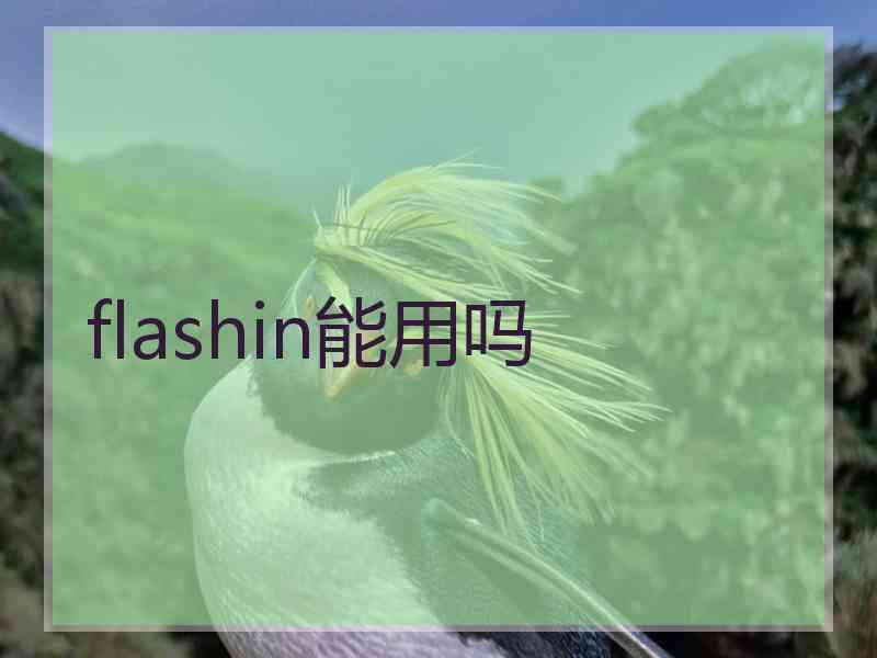 flashin能用吗