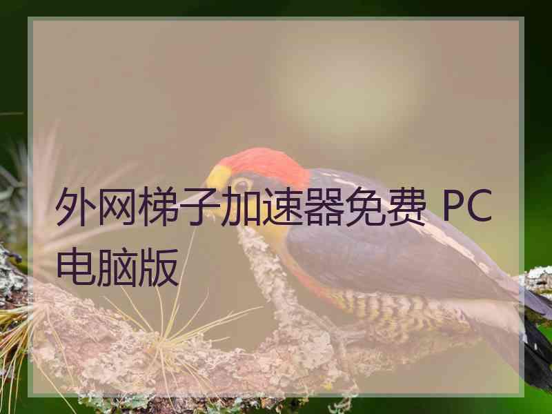 外网梯子加速器免费 PC电脑版