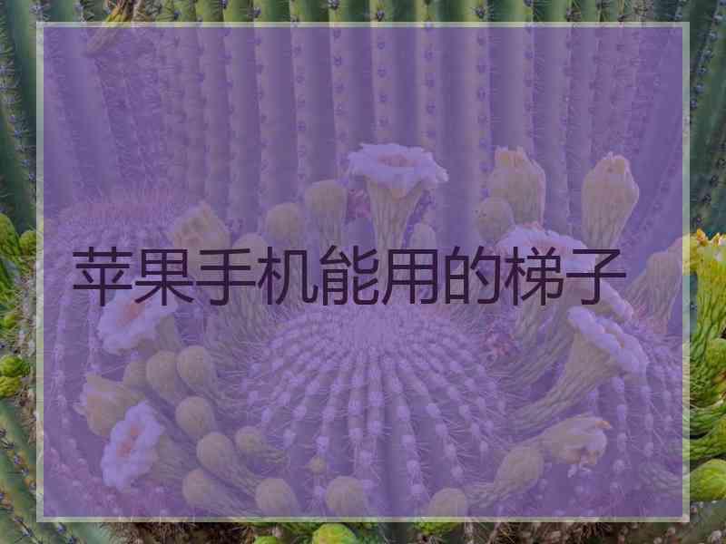 苹果手机能用的梯子