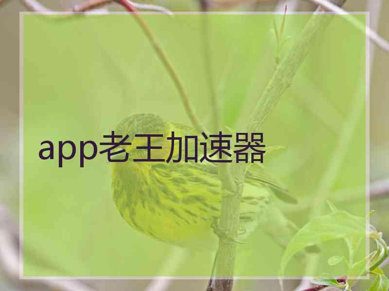 app老王加速器