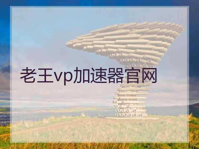 老王vp加速器官网