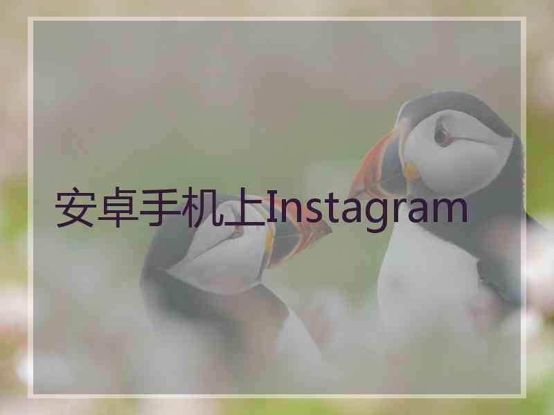 安卓手机上Instagram