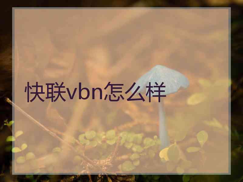 快联vbn怎么样