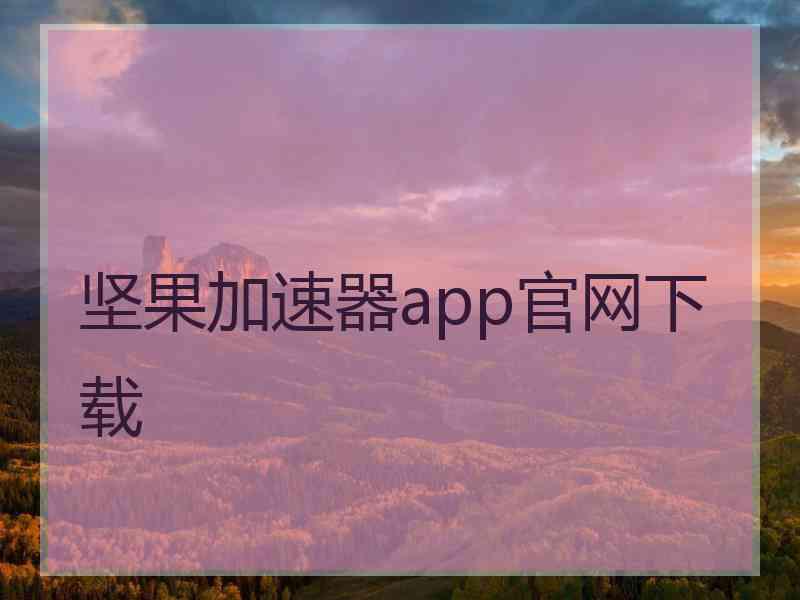 坚果加速器app官网下载