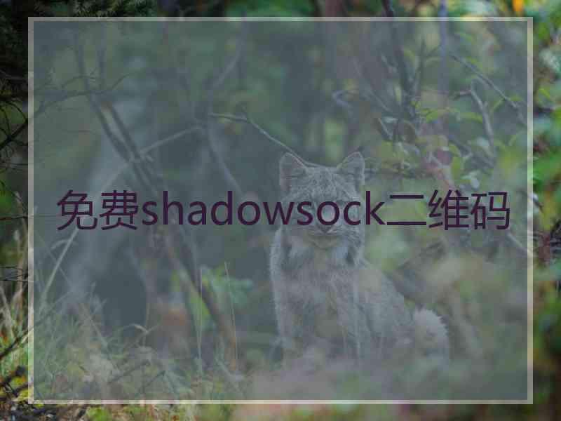 免费shadowsock二维码