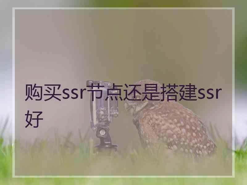 购买ssr节点还是搭建ssr好