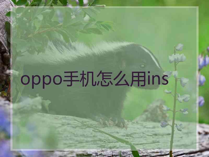 oppo手机怎么用ins