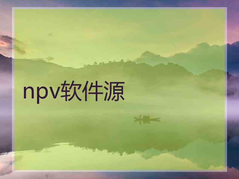 npv软件源