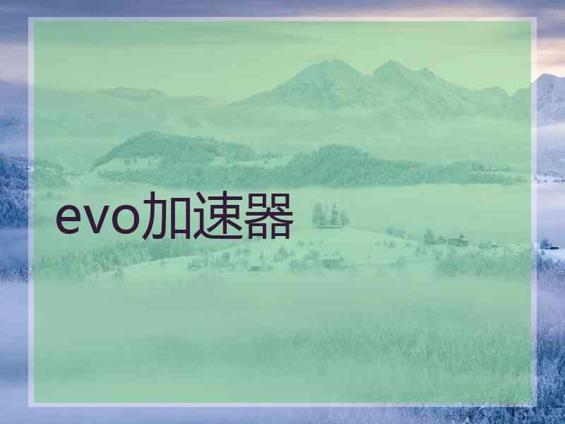 evo加速器