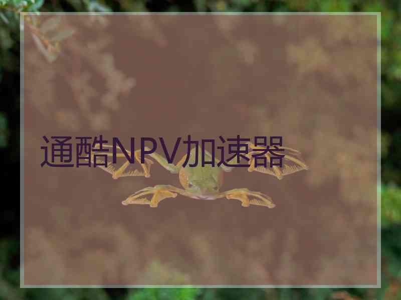 通酷NPV加速器