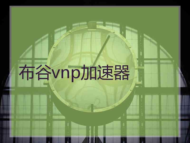 布谷vnp加速器