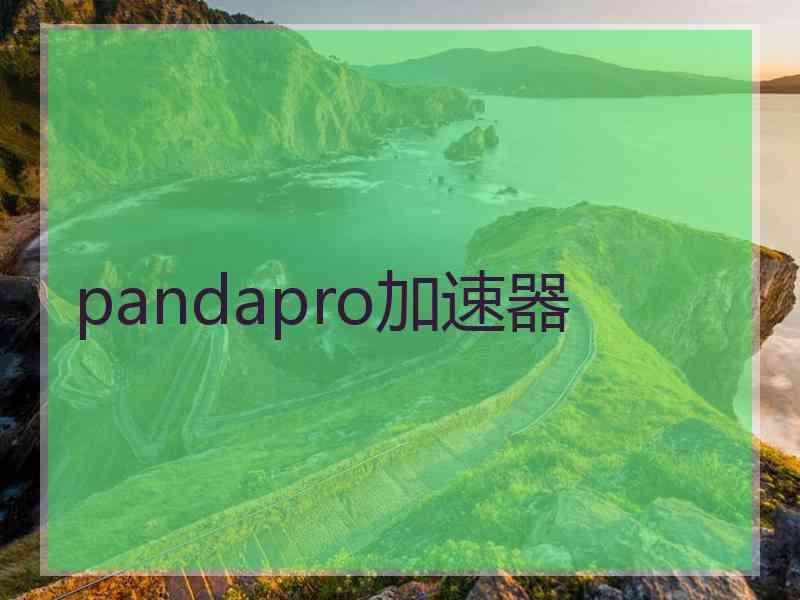 pandapro加速器