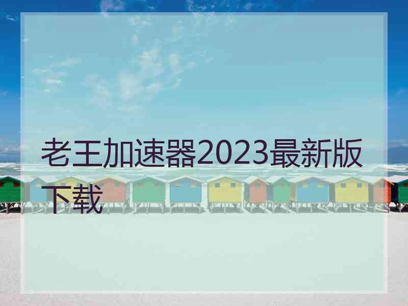 老王加速器2023最新版下载