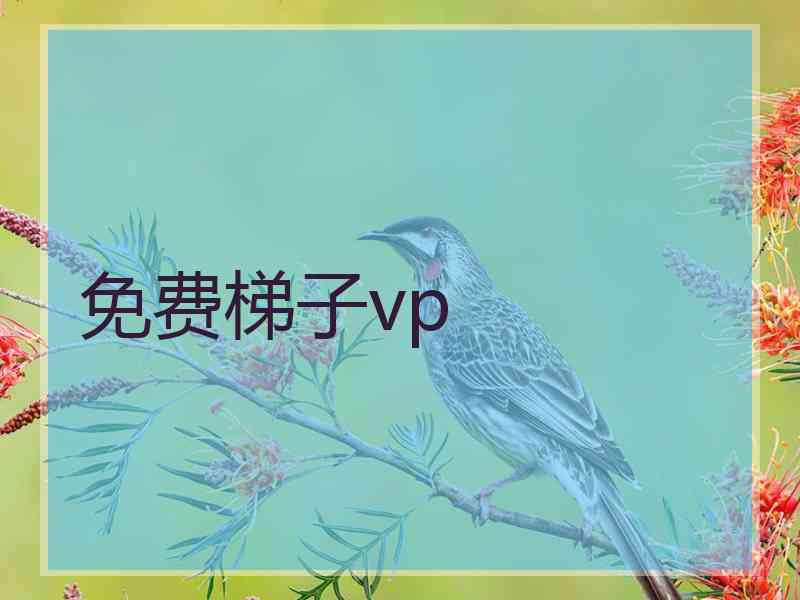 免费梯子vp