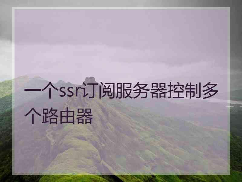 一个ssr订阅服务器控制多个路由器