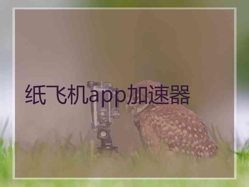 纸飞机app加速器