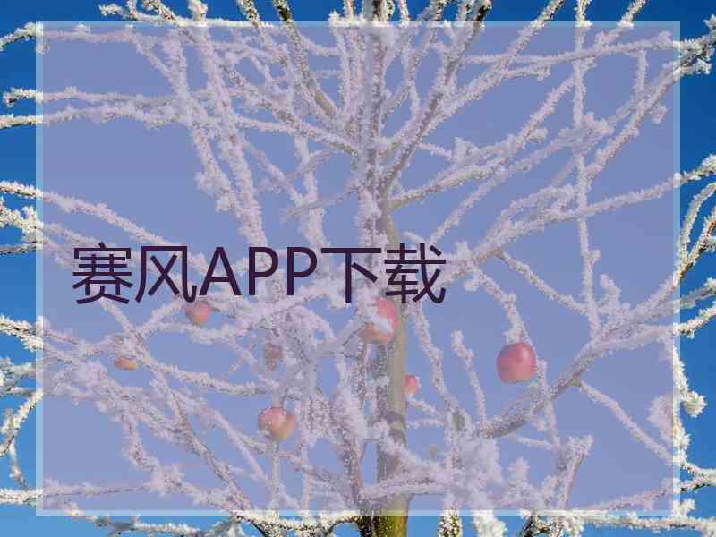 赛风APP下载