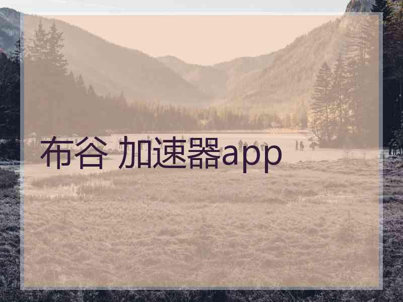 布谷 加速器app