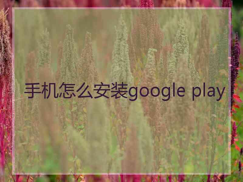 手机怎么安装google play