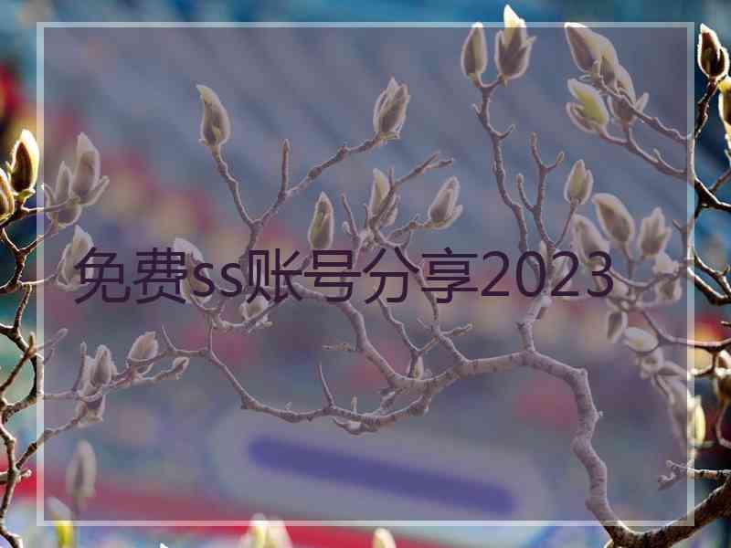 免费ss账号分享2023