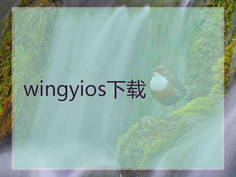 wingyios下载