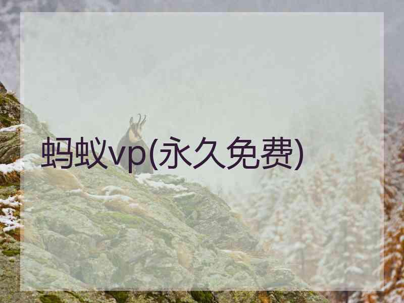 蚂蚁vp(永久免费)