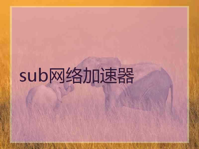 sub网络加速器