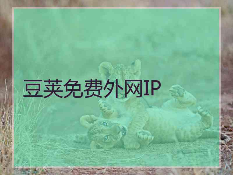 豆荚免费外网IP