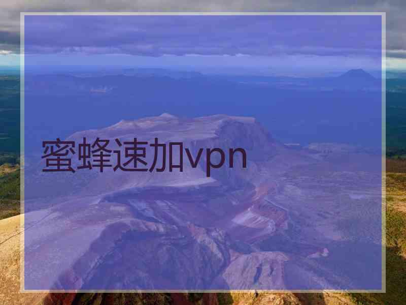 蜜蜂速加vpn