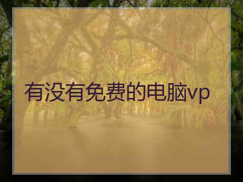 有没有免费的电脑vp