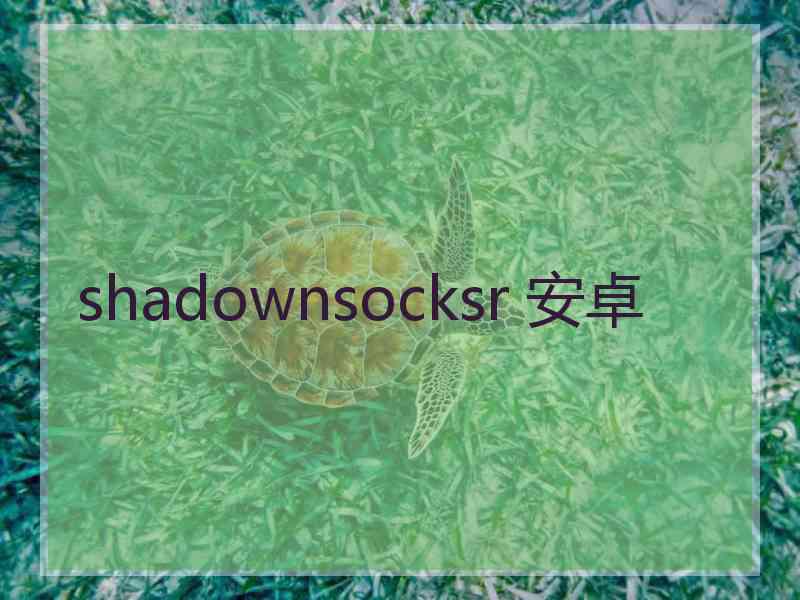 shadownsocksr 安卓