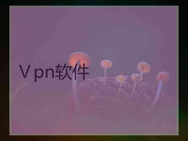 Ⅴpn软件