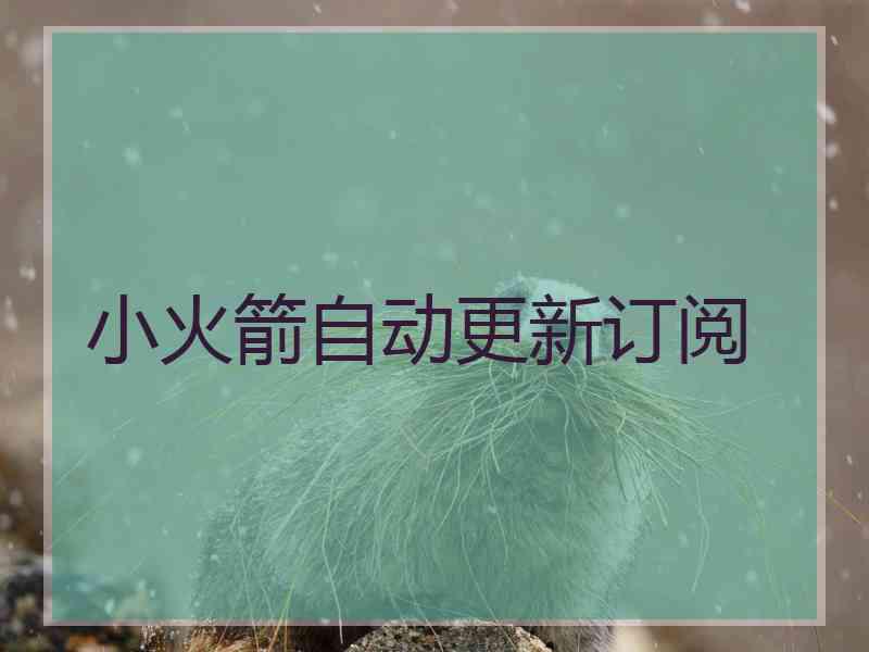 小火箭自动更新订阅