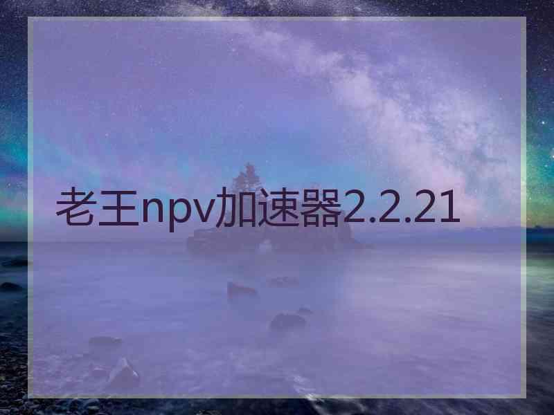 老王npv加速器2.2.21