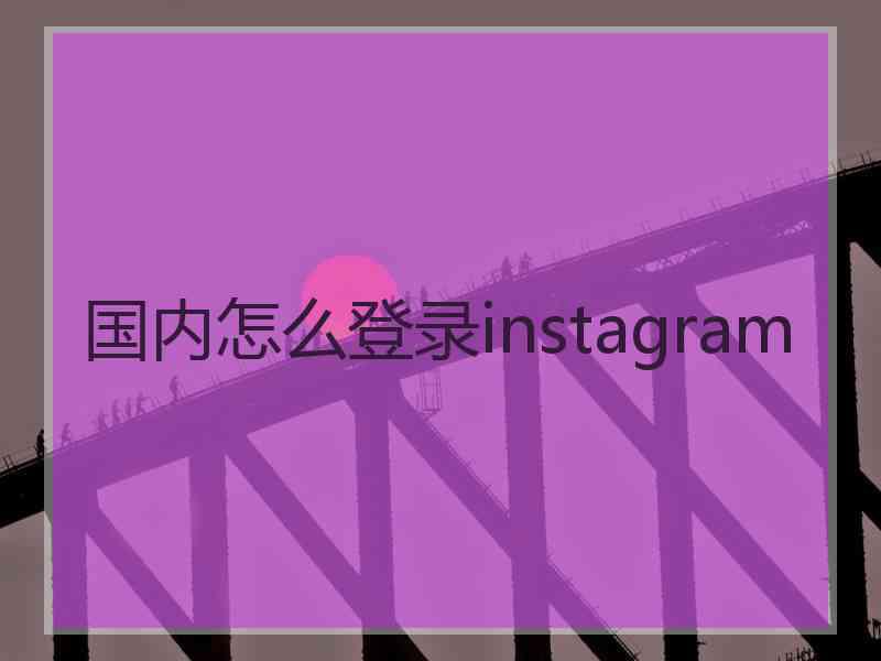 国内怎么登录instagram