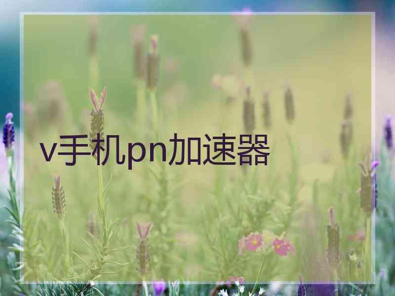 v手机pn加速器