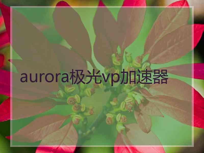 aurora极光vp加速器