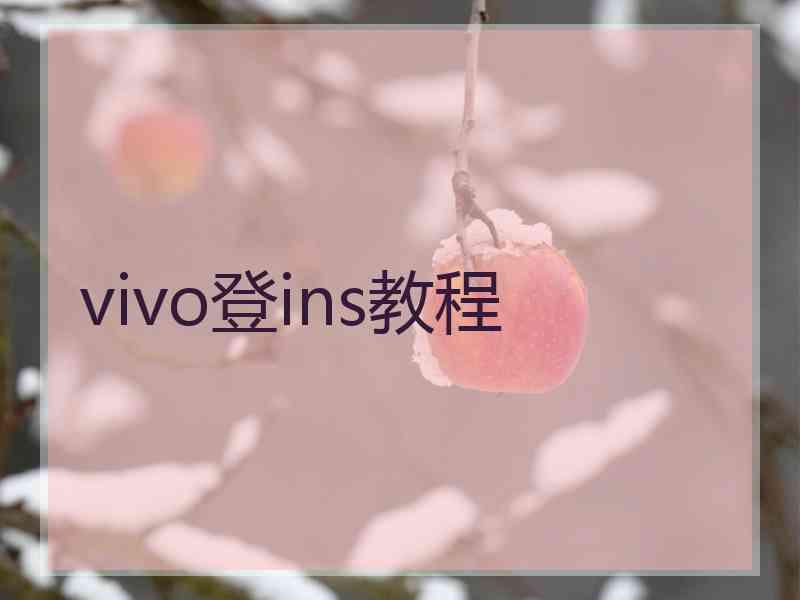 vivo登ins教程