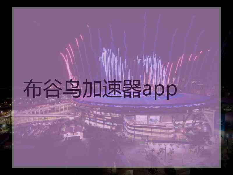 布谷鸟加速器app