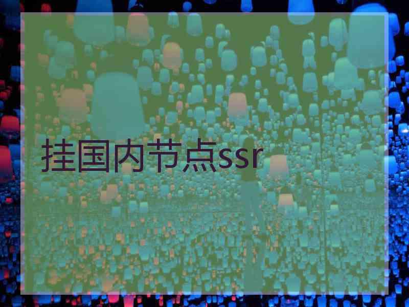 挂国内节点ssr