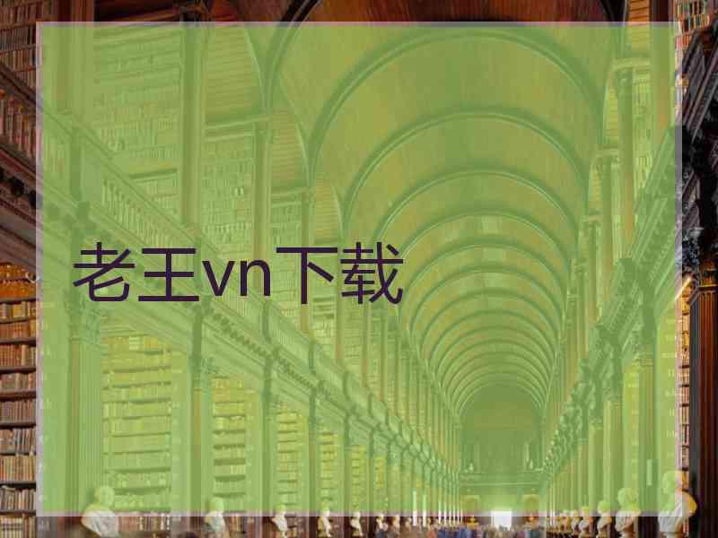 老王vn下载