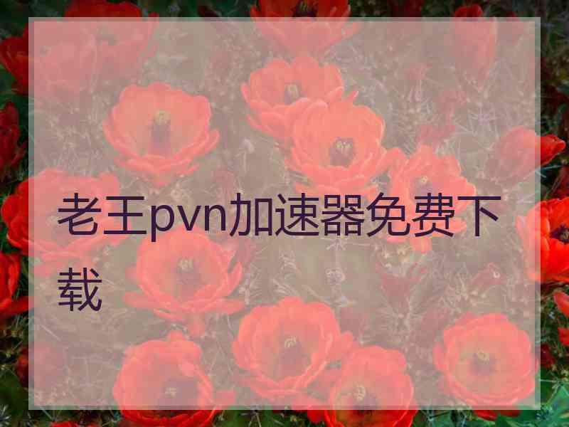 老王pvn加速器免费下载