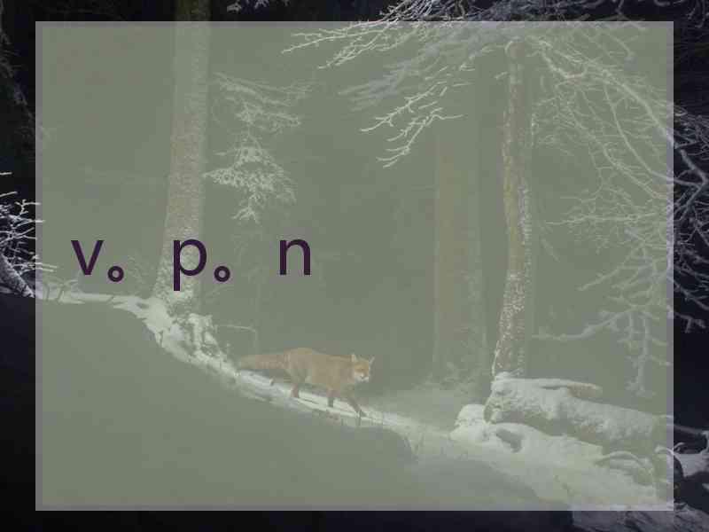 v。p。n