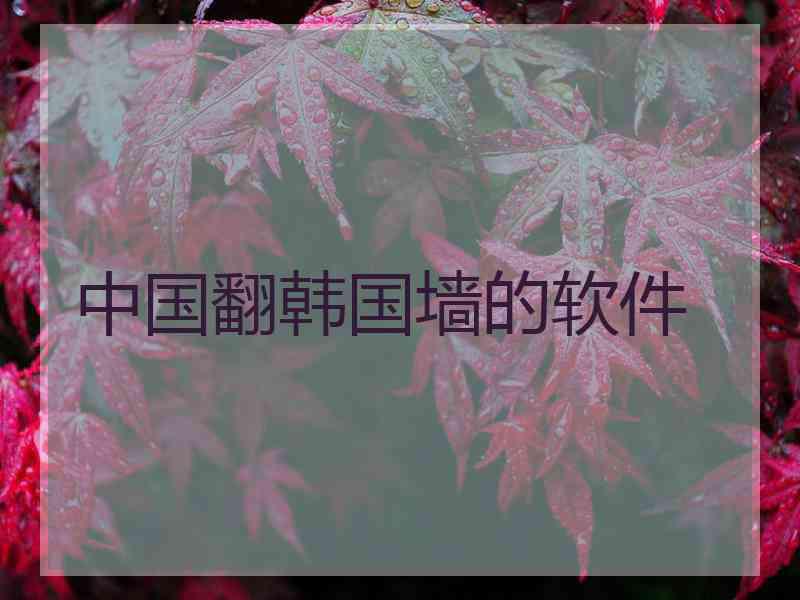 中国翻韩国墙的软件