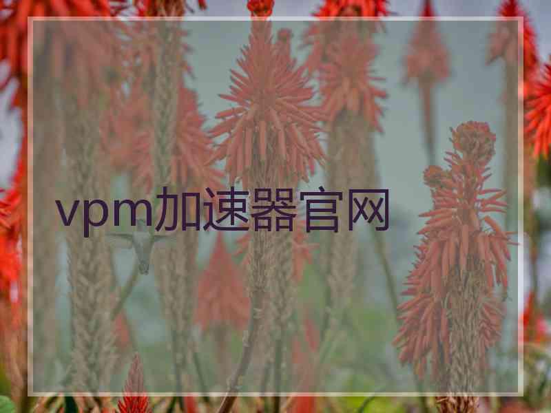 vpm加速器官网