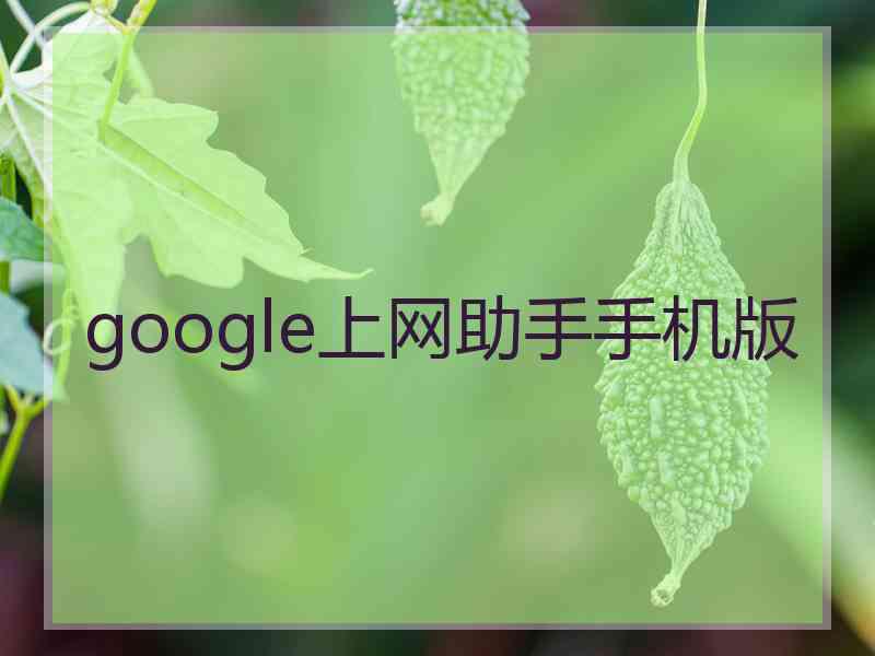 google上网助手手机版