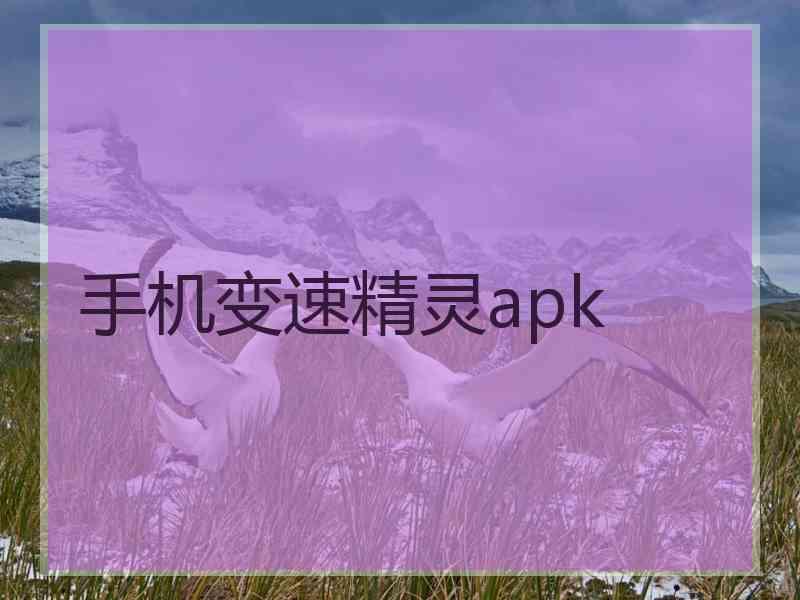 手机变速精灵apk