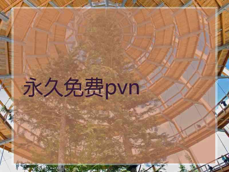 永久免费pvn